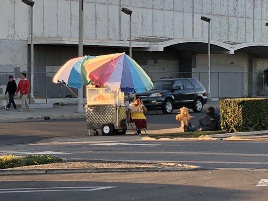 Fruit cart lady