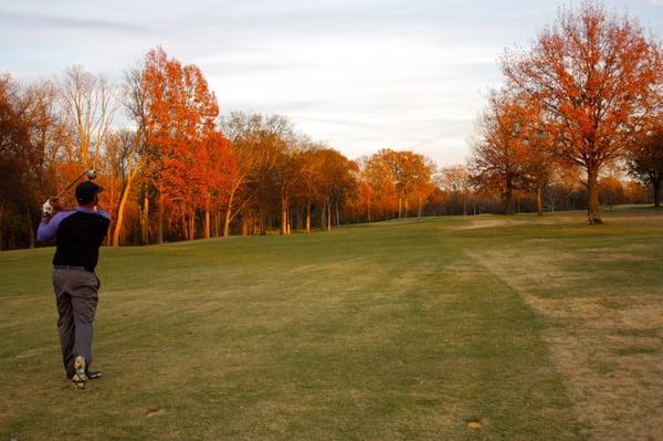 Awesome fall colors