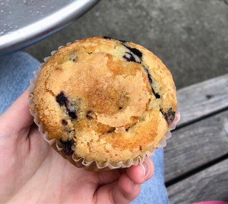 Blueberry muffin