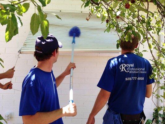 Royal Professional Window Cleaning