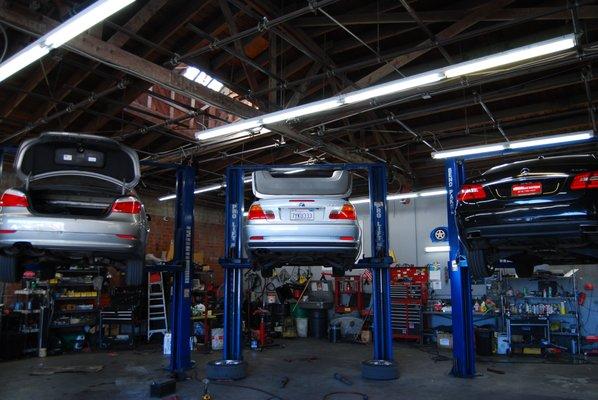 We repair and performance services for all high performing European vehicles