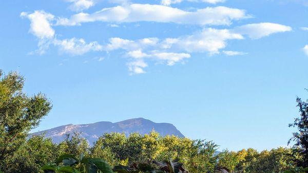 Sandia crest as viewed from the distillery lawn