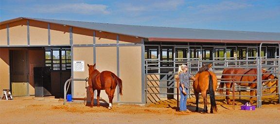 Tucson Equestrian Center offers basic and specialized riding lessons and comprehensive boarding services