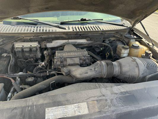 Thorough Engine bay cleaning