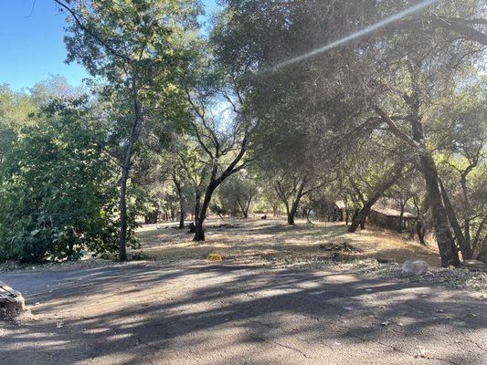 Our front yard looks like a park now!