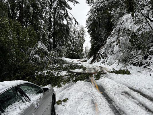 Morning view of the road conditions