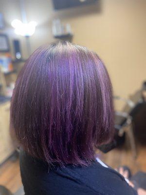 Purple fashion color highlights