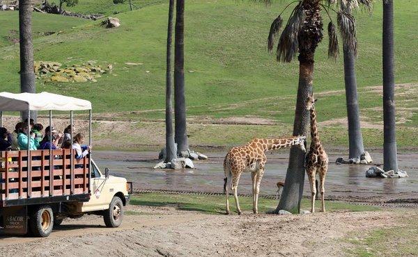 Minutes to San Diego Safari Zoo