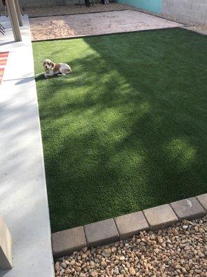 Grass and sanded area for above ground pool