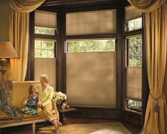 Duette® honeycomb shades