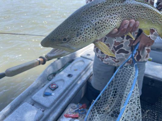 Biggest catch (and release) of the day, handsome boy!