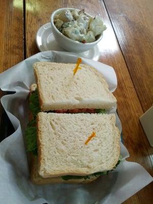 Veggie Sandwich con a side of insalata di patata