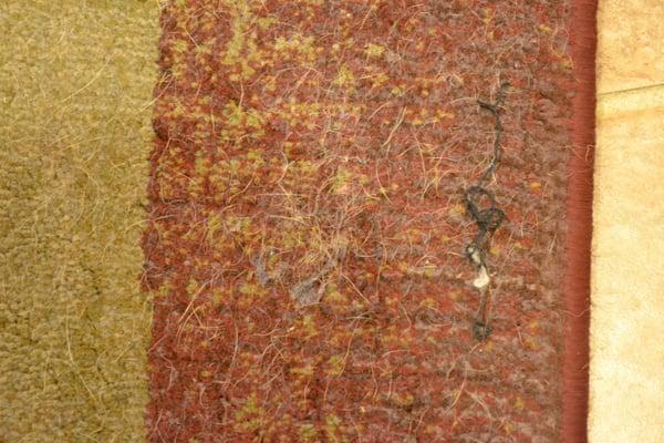 We paid an extra $25 for this rug to be cleaned....This is a close up of AFTER they were done!