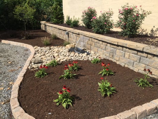 Commercial planting and wall with water feature 2015