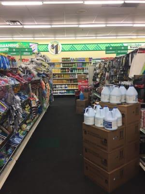 Woonsocket Dollar Tree -- 1900 Diamond Hill Road / Route 114, Woonsocket          Interior