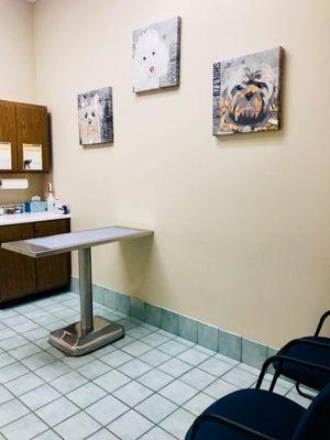 Our doggy inspired examination room