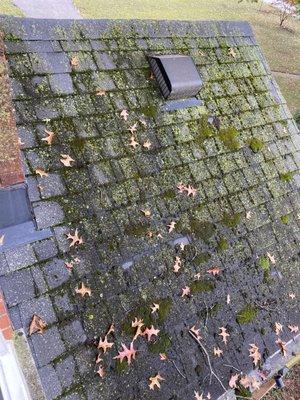 Before photos of a small roof over an addition.