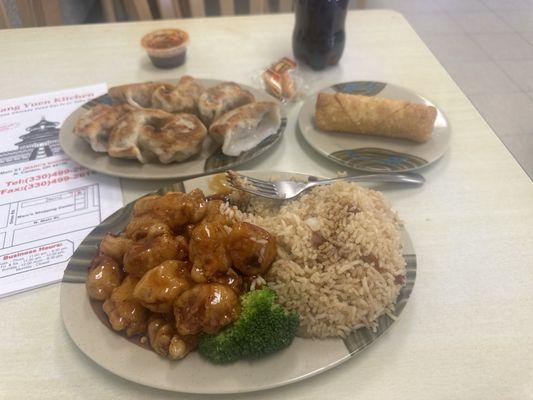 General Tso's Chicken Combination Plate with Fried Dumplings