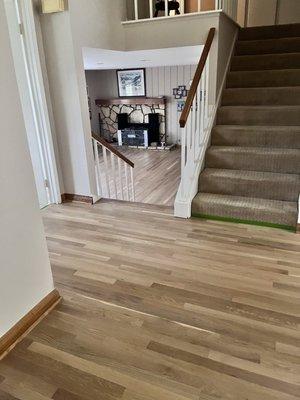 Hall entry. View to Family room