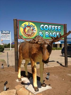 This odd little mascot always helps me find the adorable cabin-esque coffee hut, tucked away.