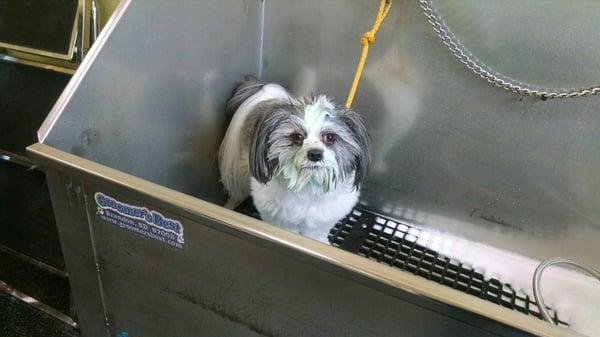 Mimi getting a blueberry facial.