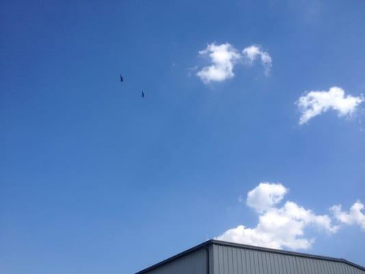 I either got two Blue Angels soaring over, or my camera is too slow!