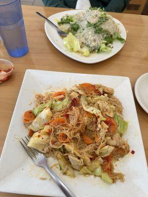 Silver noodle salad and Rice Noodle Main Dish.