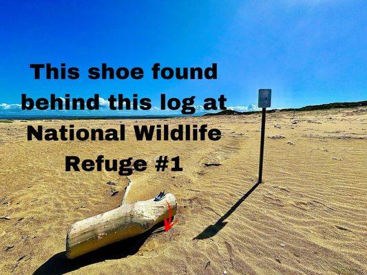 This 1 clean girl's shoe (toddler) was found behind a log at the National Wildlife Refuge #1. I hope there was no foul play involved.