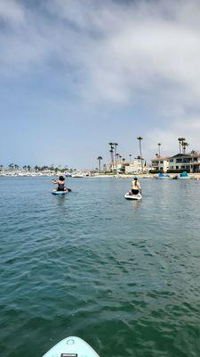 Paddleboards in Newport Bay.