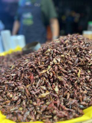 Muchos chapulines de Oaxaca los encuentran en la Oaxaqueña restaurant 1460 s State street salt lake Utah 1801-484-65-84horario11:am 9: pm