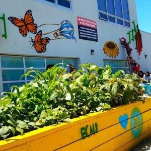 Garden beds with classroom "garage" doors in background