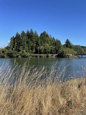 Waldport Bay, across the road from Salty Dawg. Great chowder and good drinks.