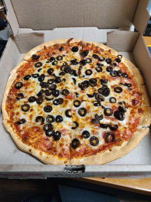 Lunch special pizza 11 inches $9