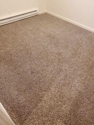 Noticeably worn carpet looks like new.