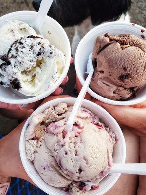 the ice cream trifecta