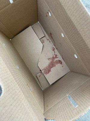 Bloody cat box