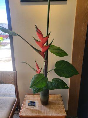 Ikebana for the spirit.