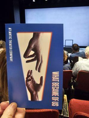 Play About Immigrant Experience. w/Tony Shalhoub & Shohreh Aghdashloo. Fantastic!