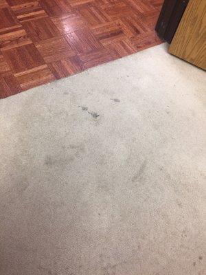 Nasty ass carpets