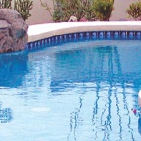 Pool Maintenance Services