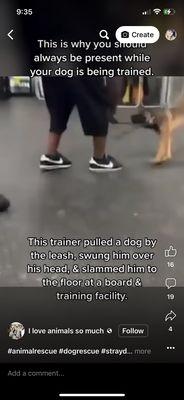 Video of him hurting his dog without batting an eye.