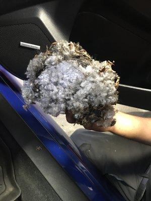 This is what was pulled out of my Cabin Air Filter when I went to Valvoline 2 miles down Rt6 ...something that Curry claims they checked.