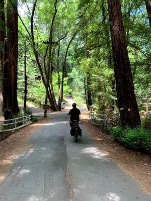 Test riding the RFA in Mill Valley