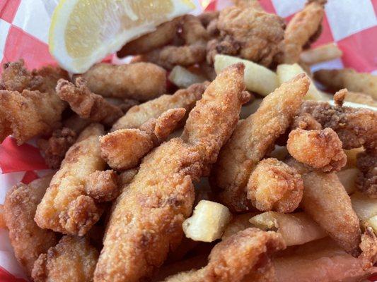 Clam strips with fries