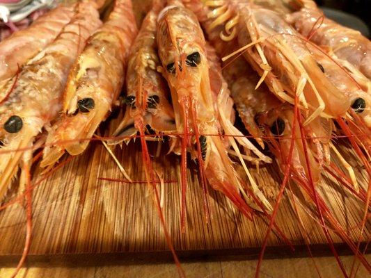 Argentinian prawns