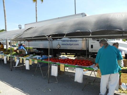 City Island Farmers Market