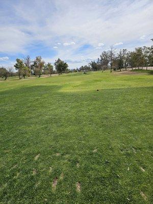 Mower on the fairway hole 1 at 130pm.