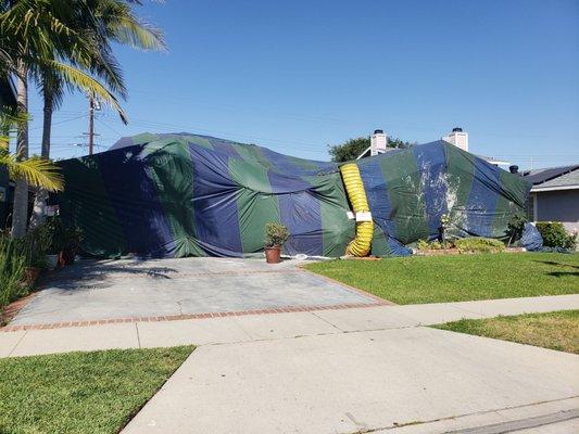 2100 sq ft home fumigation