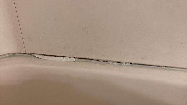 Bathroom had black stuff growing out of it that was not just Mildew. Bathtub kept peeling