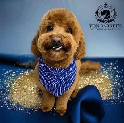 Von Barkee's Dog Spa & Bakery